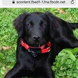 Meet your Posher, Lydia